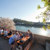 Biergarten "Alter Kranen"
