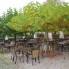 Platanenbiergarten Spätsommer